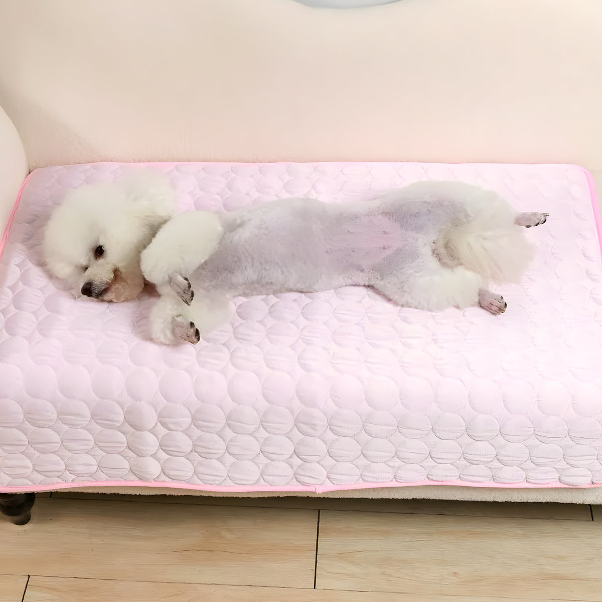 Tapis rafraîchissant pour chien, S à XL
