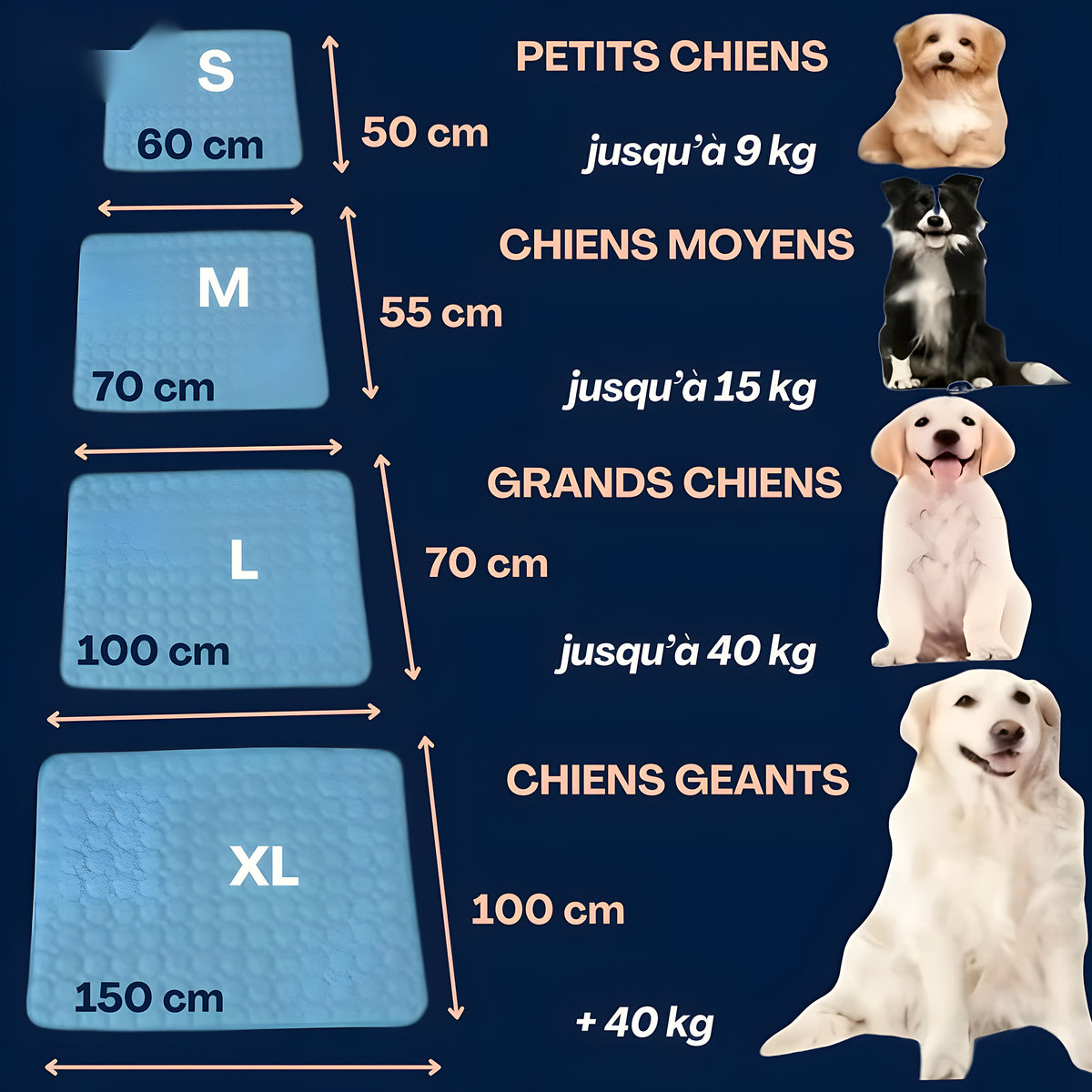 Tapis rafraîchissant pour chien, S à XL