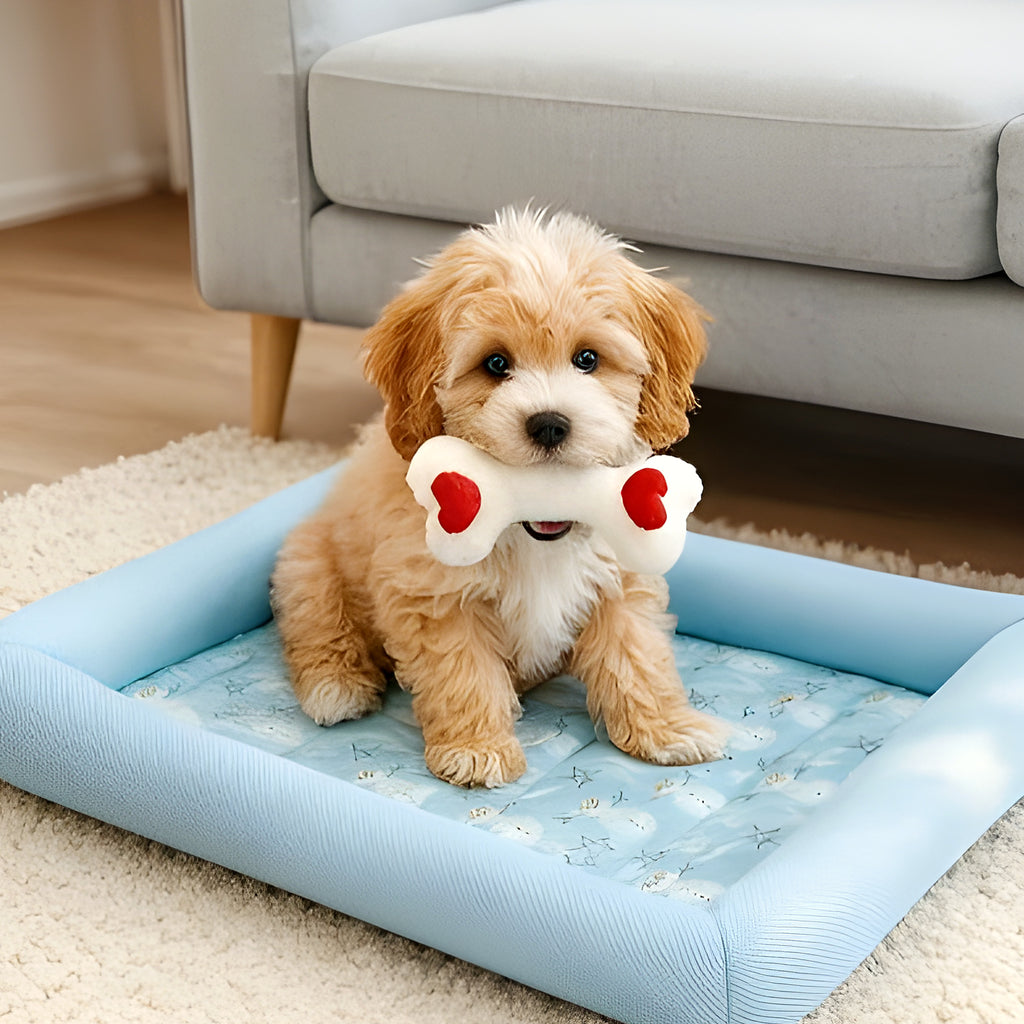 Tapis rafraîchissant sans eau ni congélation pour chien