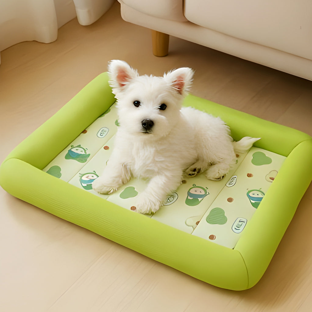 Tapis rafraîchissant sans eau ni congélation pour chien