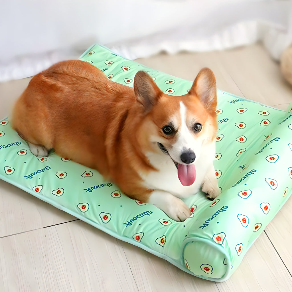Tapis rafraîchissant sans eau pour petit et moyen chien