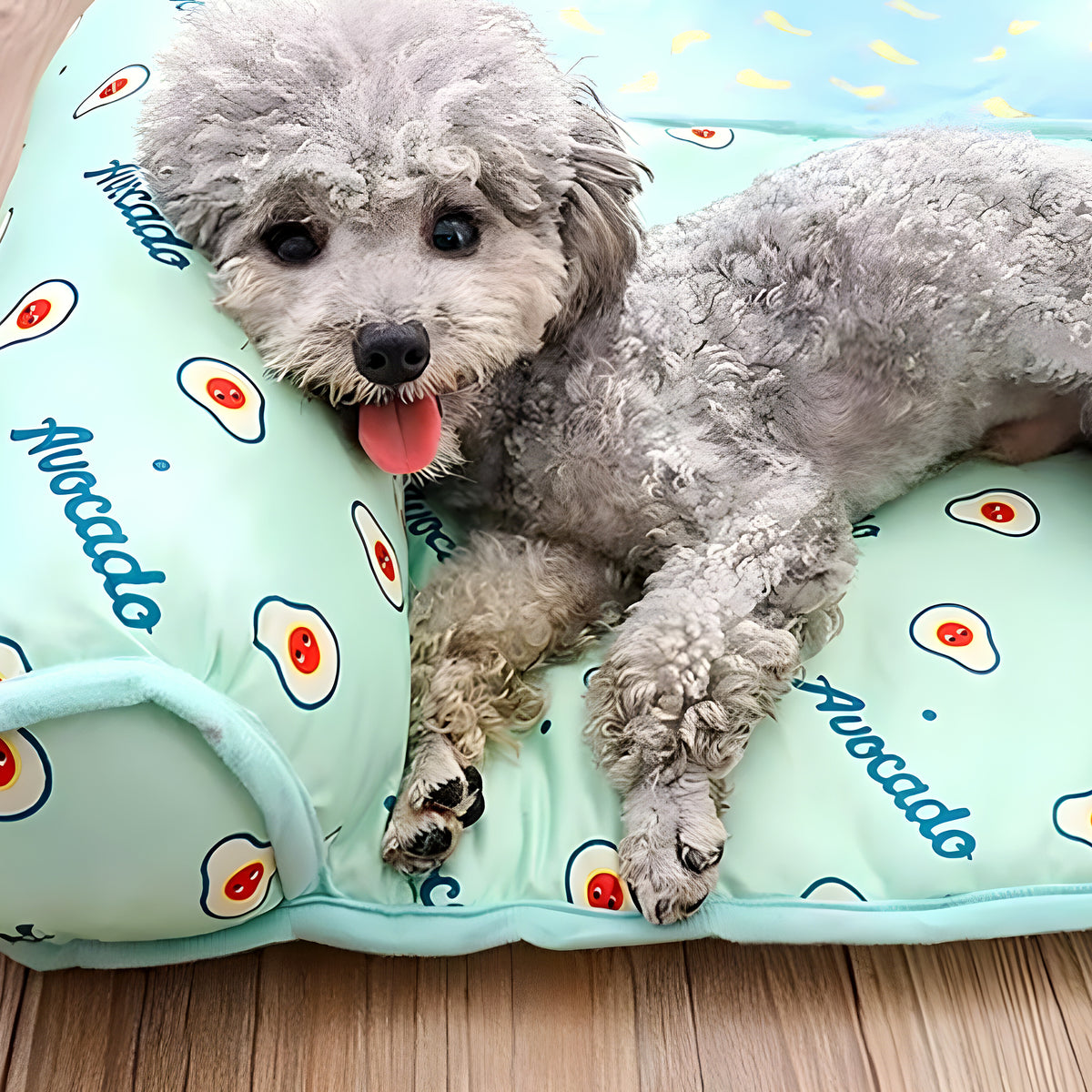 Tapis rafraîchissant sans eau pour petit et moyen chien
