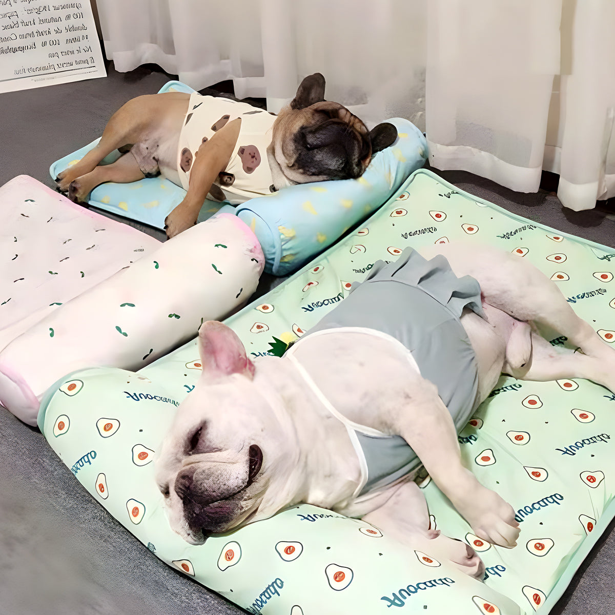 Tapis rafraîchissant sans eau pour petit et moyen chien