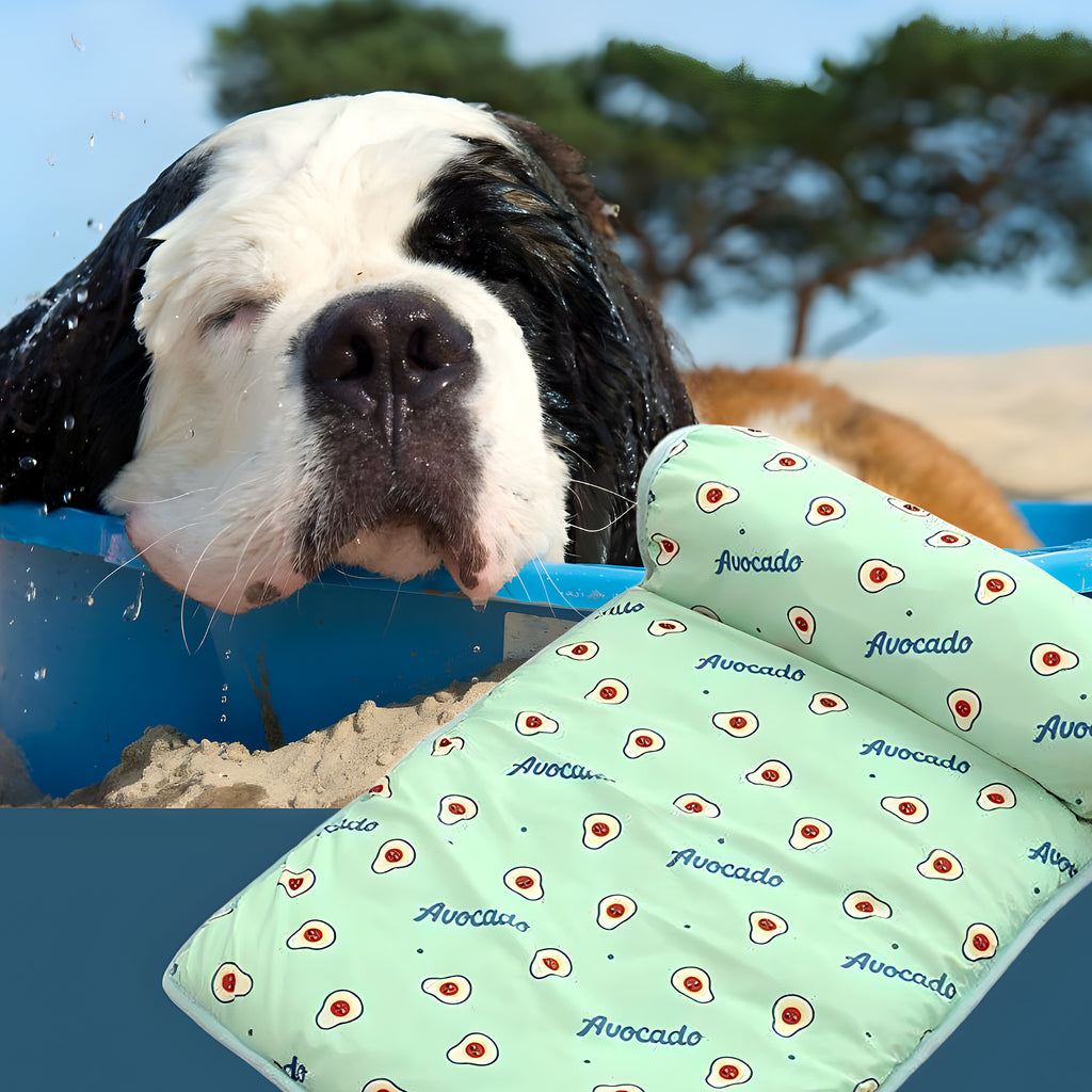 Tapis rafraîchissant sans eau pour petit et moyen chien