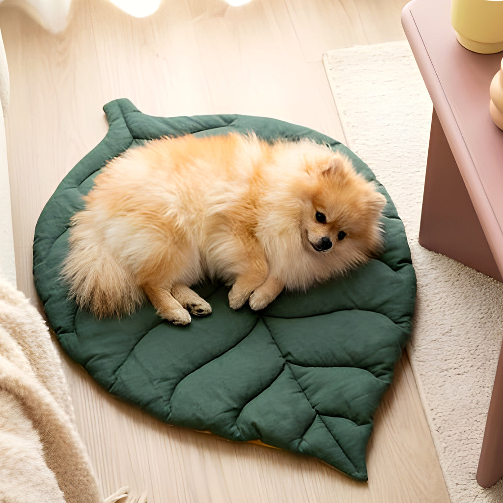 Tapis réversible feuille verte en coton pour chien