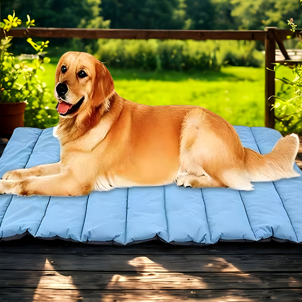 Tapis XXL imperméable avec sac de transport pour grand chien