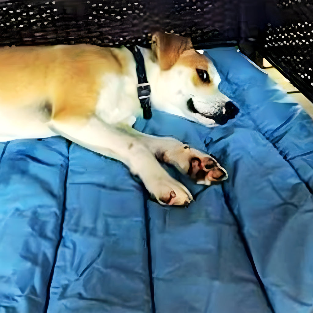 Tapis XXL imperméable avec sac de transport pour grand chien