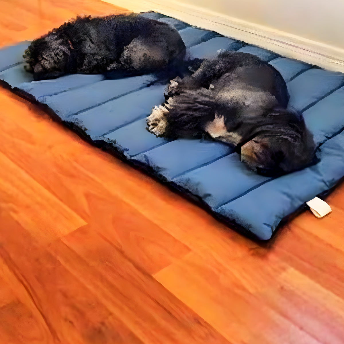 Tapis XXL imperméable avec sac de transport pour grand chien