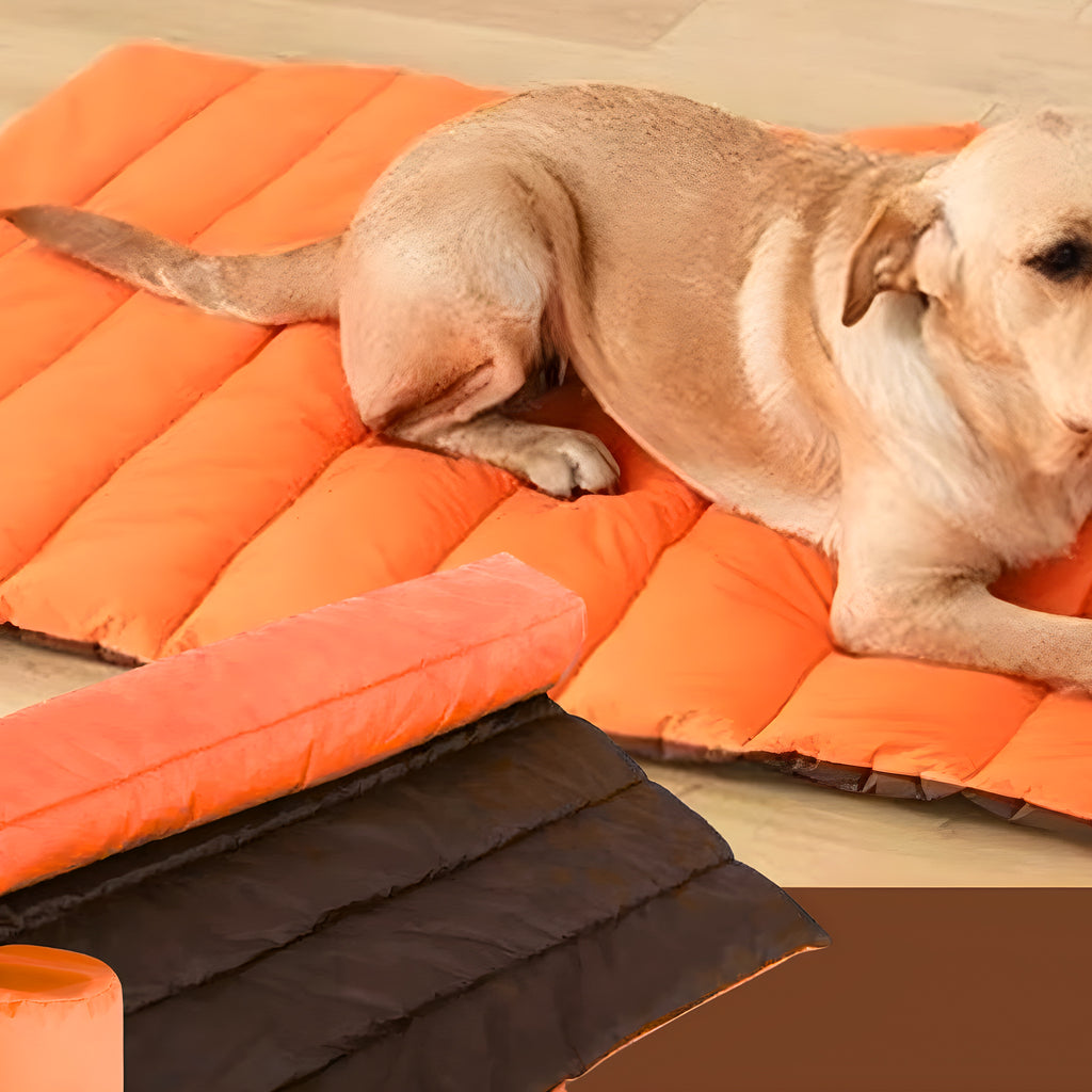 Tapis XXL imperméable avec sac de transport pour grand chien