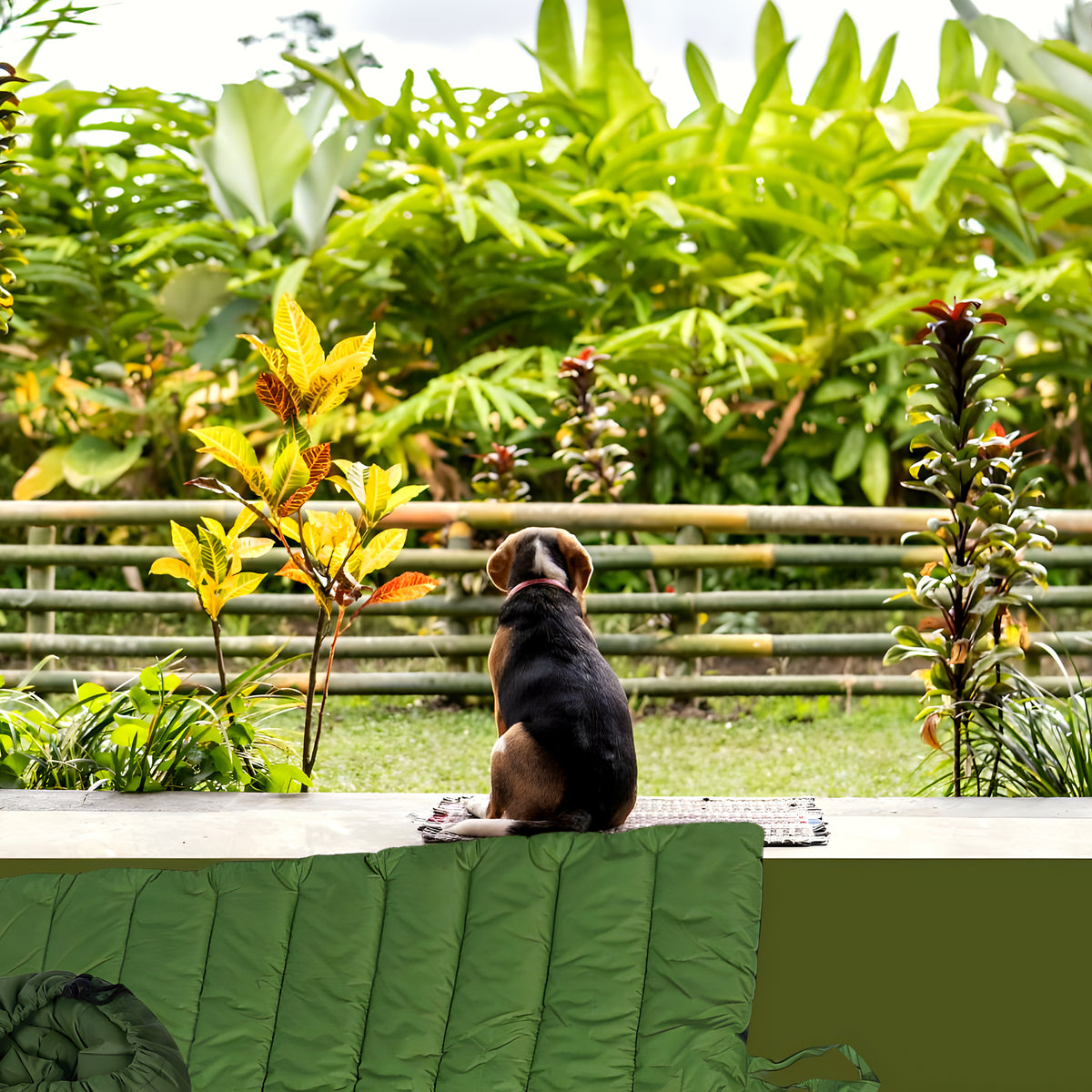 Tapis XXL imperméable avec sac de transport pour grand chien