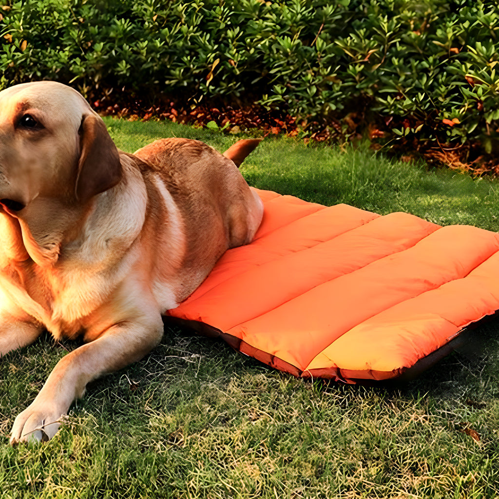 Tapis XXL réversible imperméable 110 x 70 cm pour chien