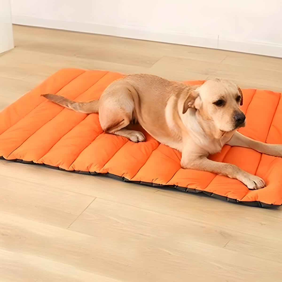 Tapis XXL réversible imperméable 110 x 70 cm pour chien