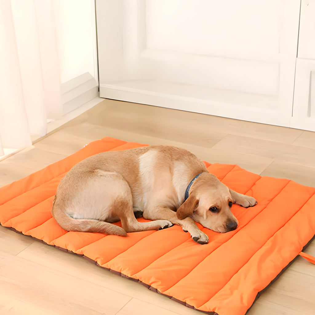 Tapis XXL réversible imperméable 110 x 70 cm pour chien