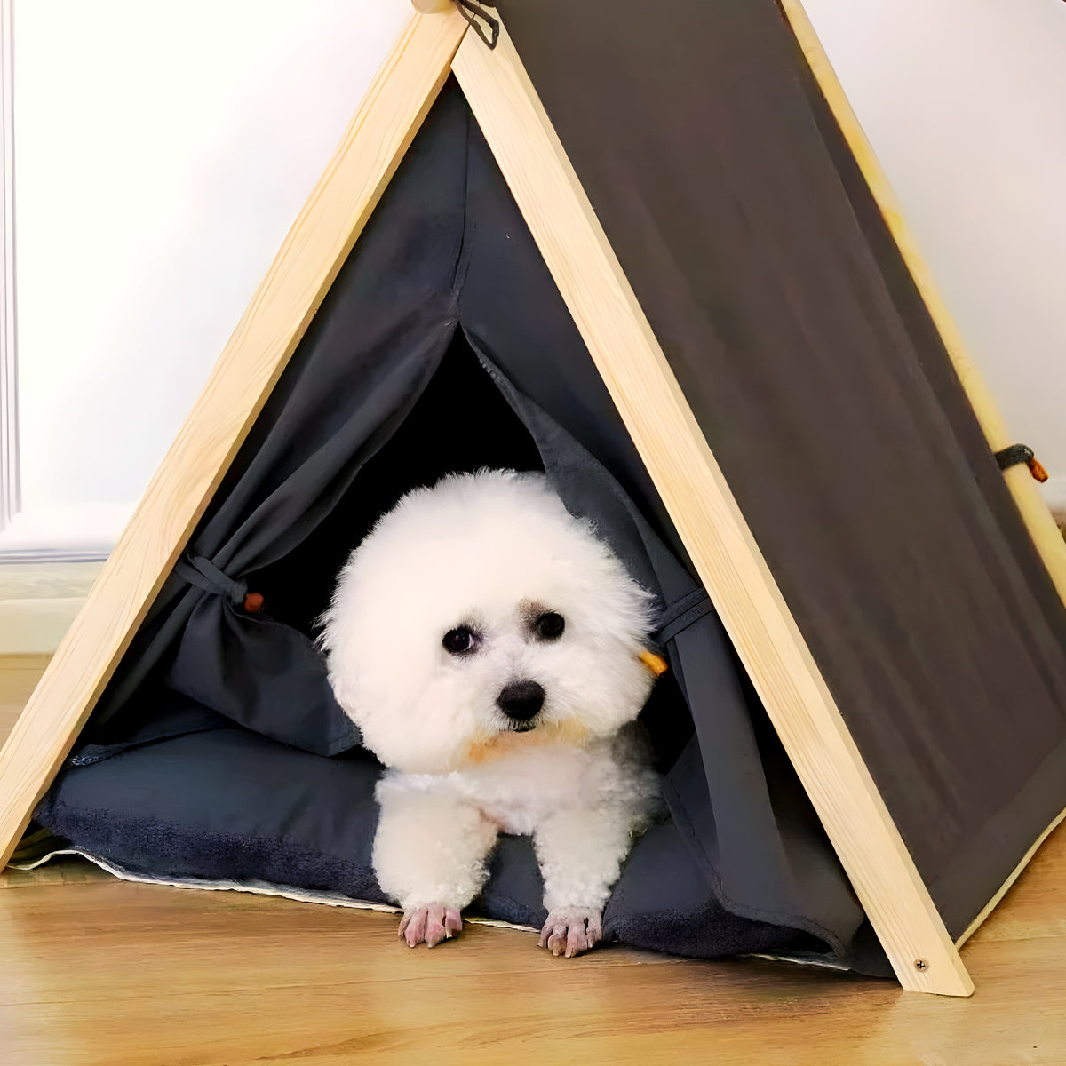 Tente légère pour chien, 5 coloris