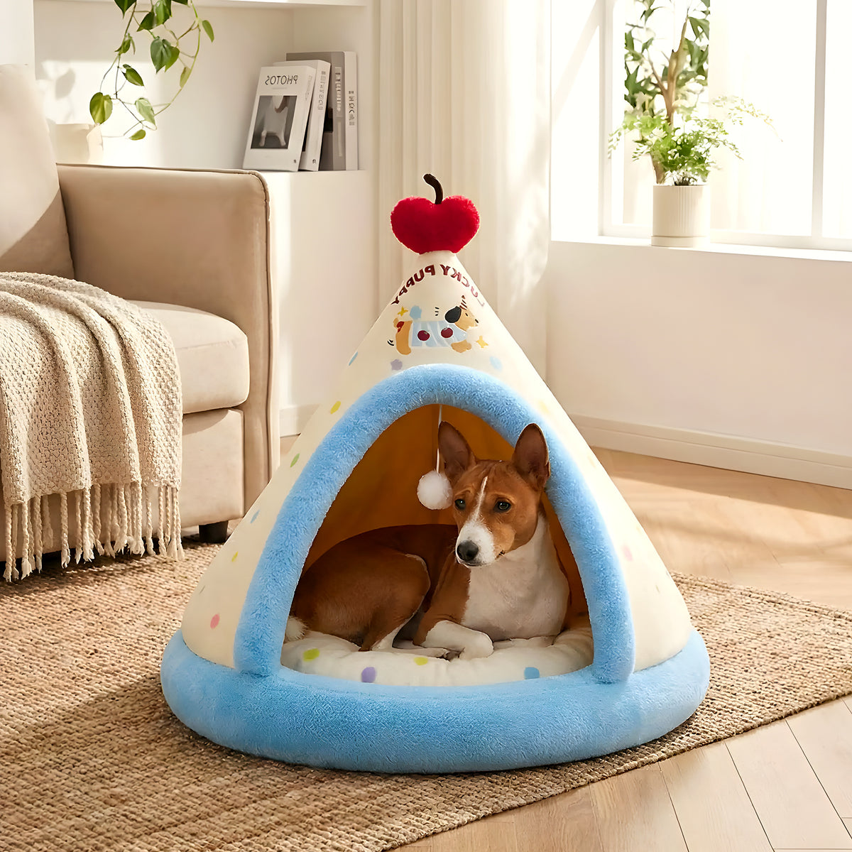 Tipi douillet en velours avec jouet pour chien