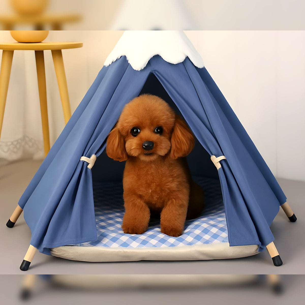 Tipi pour petit chien avec ouverture frontale