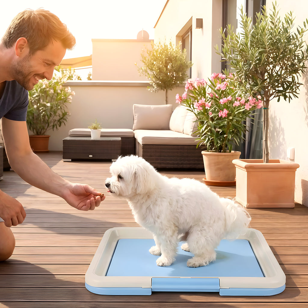 Toilette éducative pour chiot, bleu ou rose