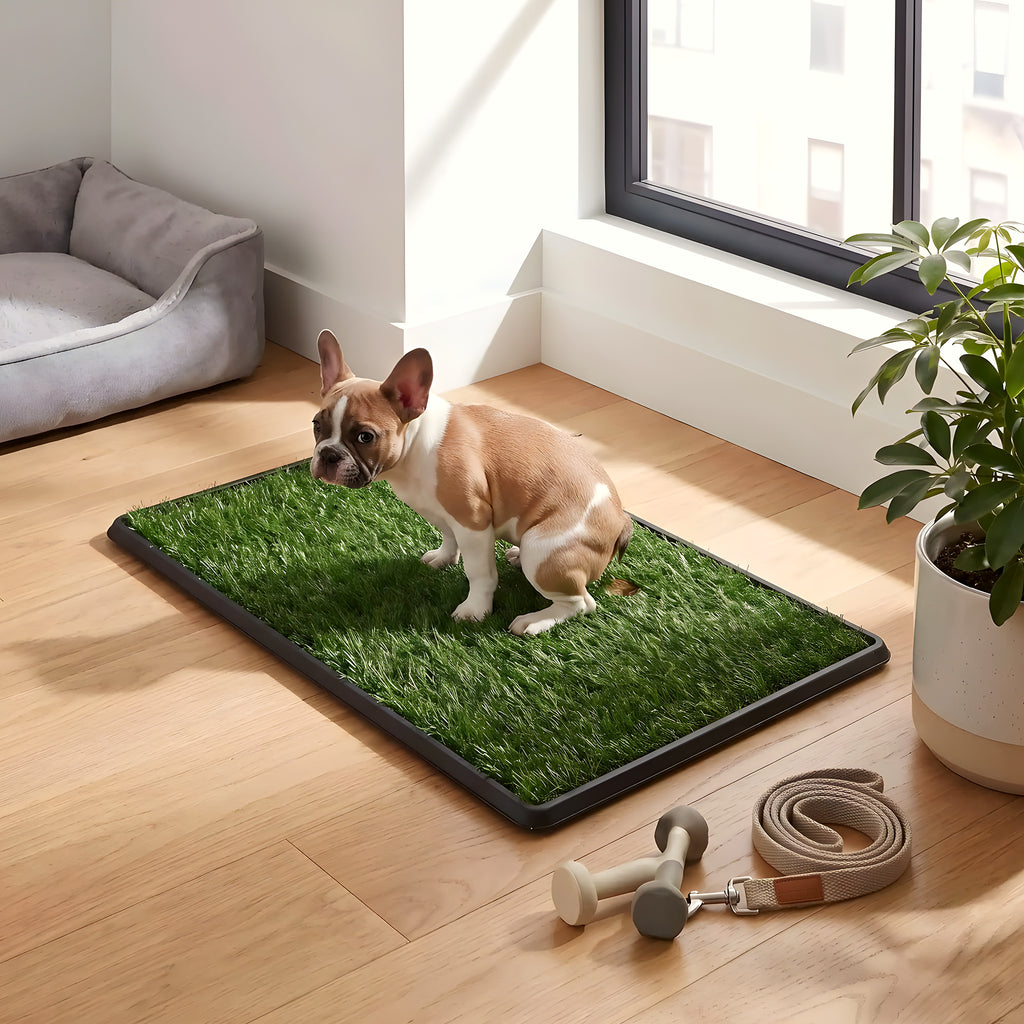 Toilette pour chien avec gazon synthétique 76 x 51 cm