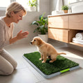 Toilettes pour petit chien avec 2 tapis gazon