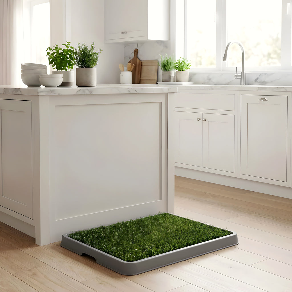 Toilettes pour petit chien avec 2 tapis gazon
