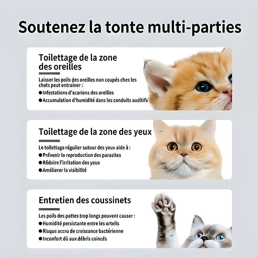 Tondeuse silencieuse pour chat