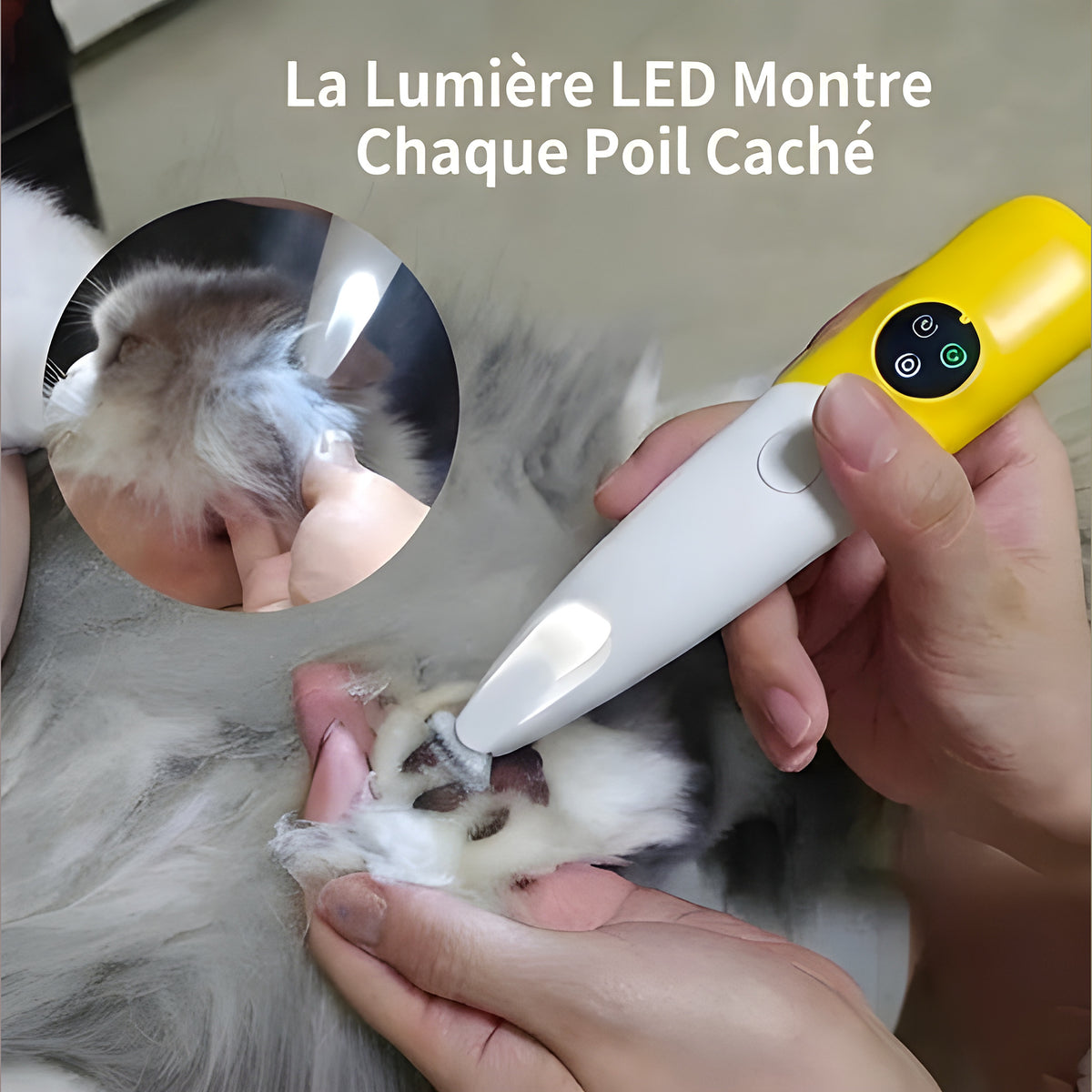 Tondeuse silencieuse pour chat